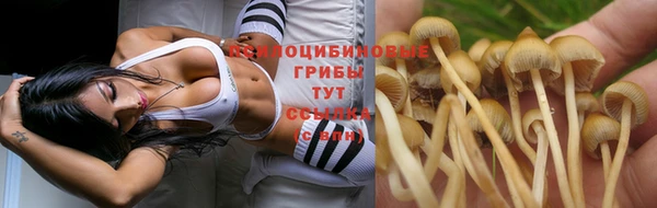 мет Алзамай